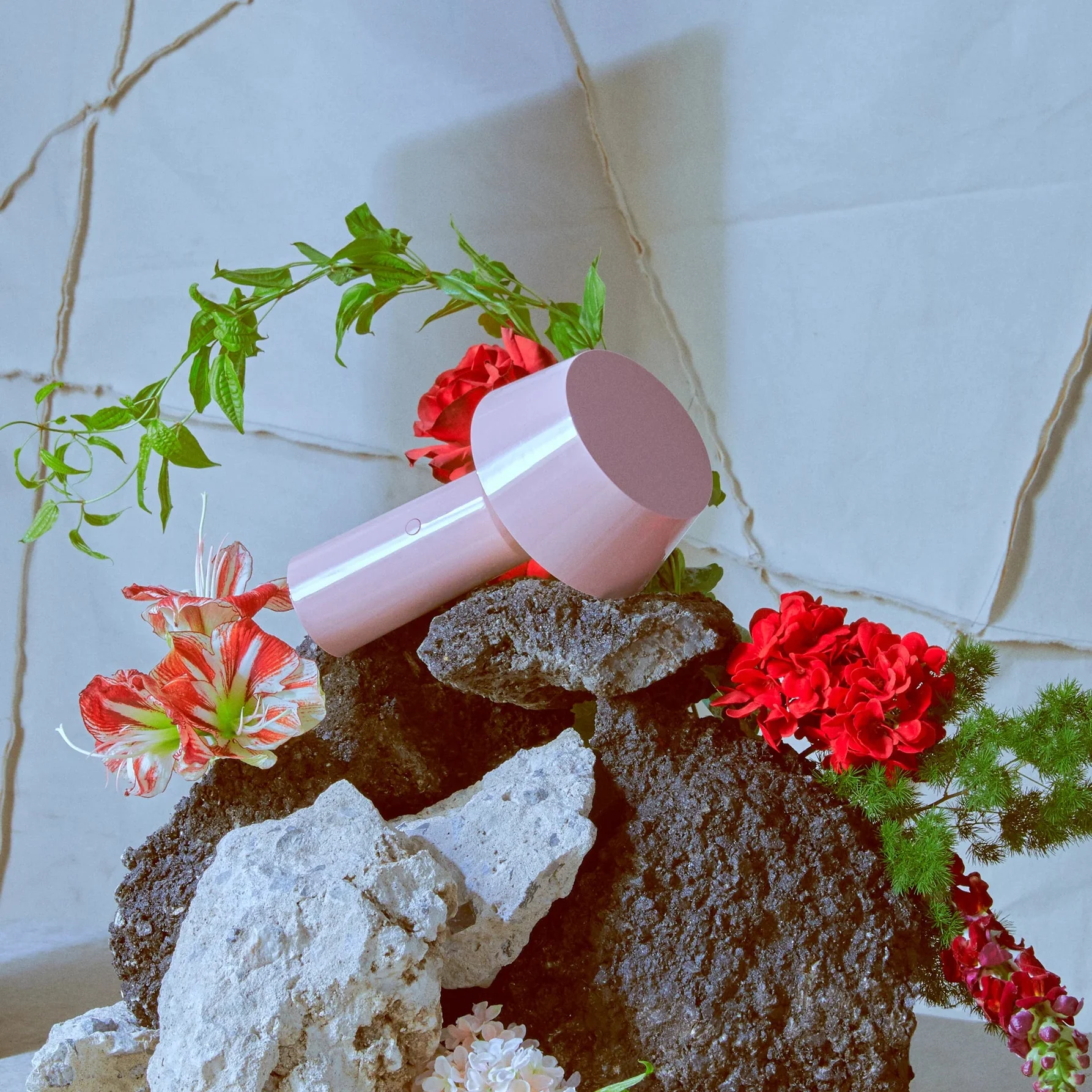 Miniature 4