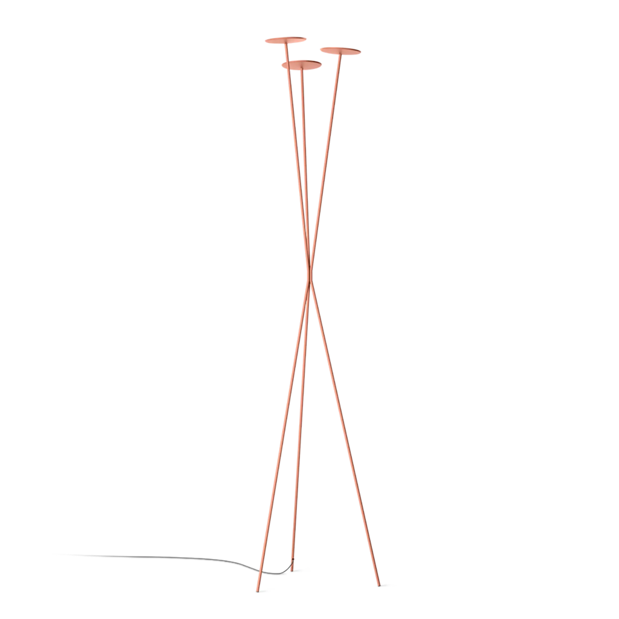Miniature 5
