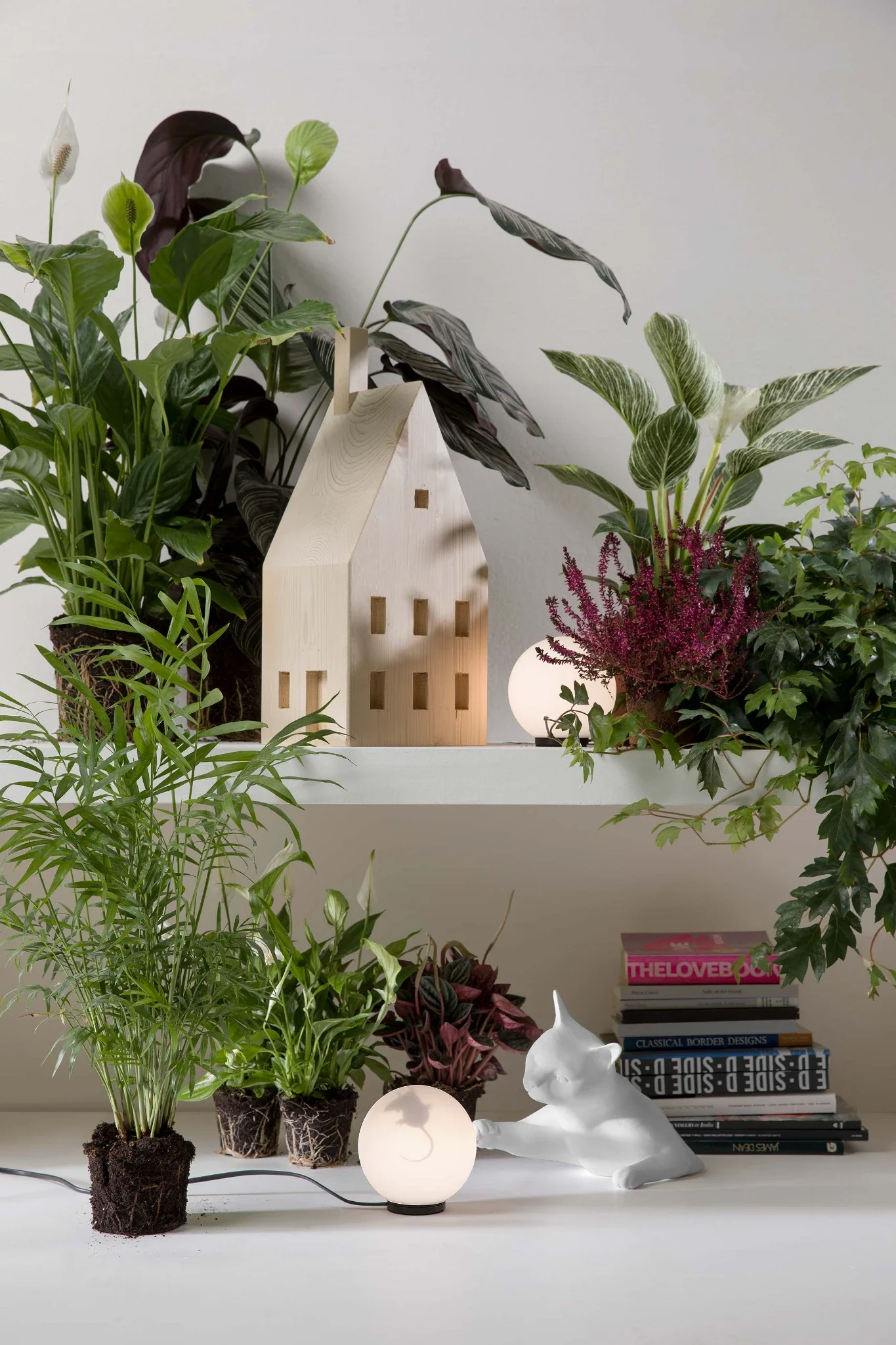 Miniature 2