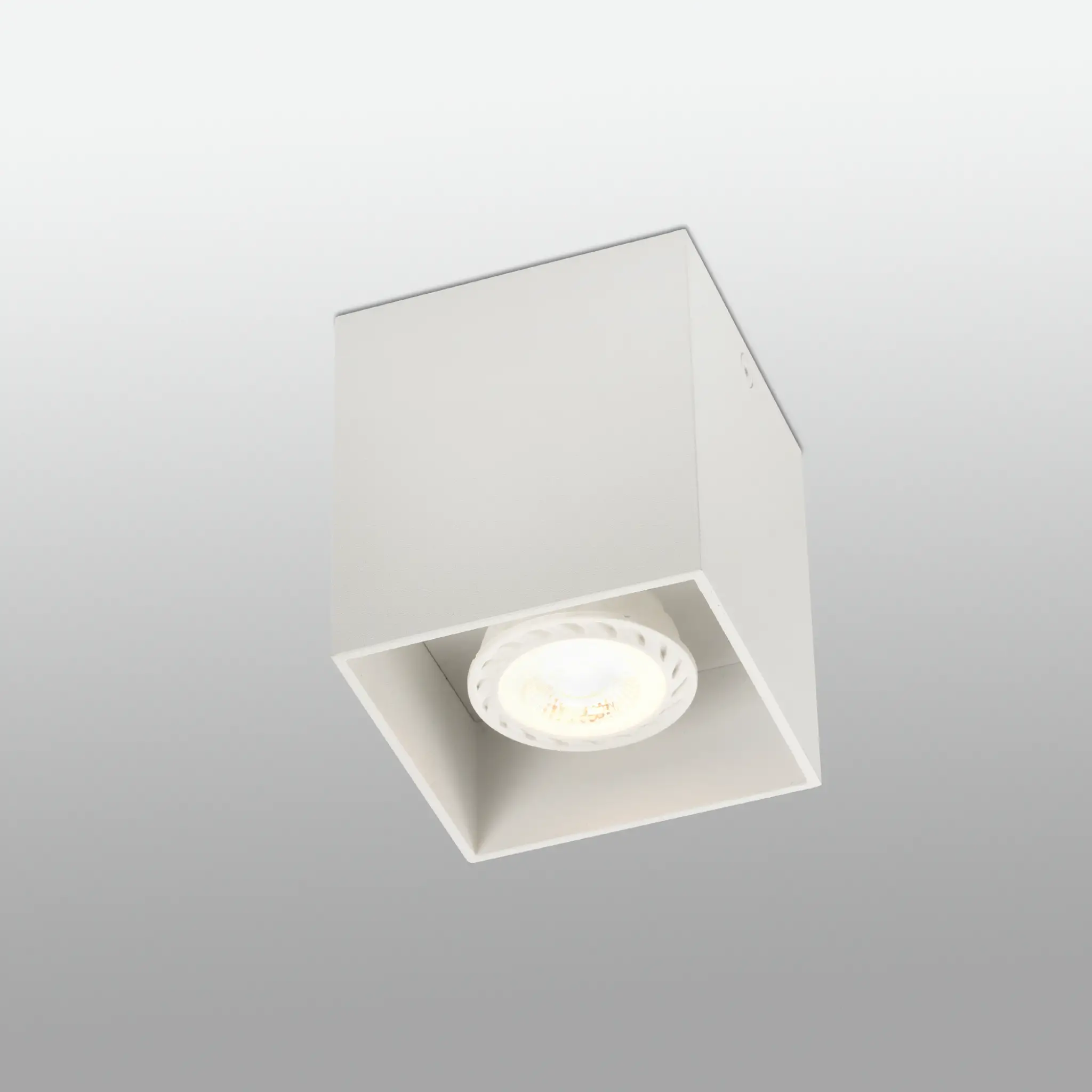 Miniature 4