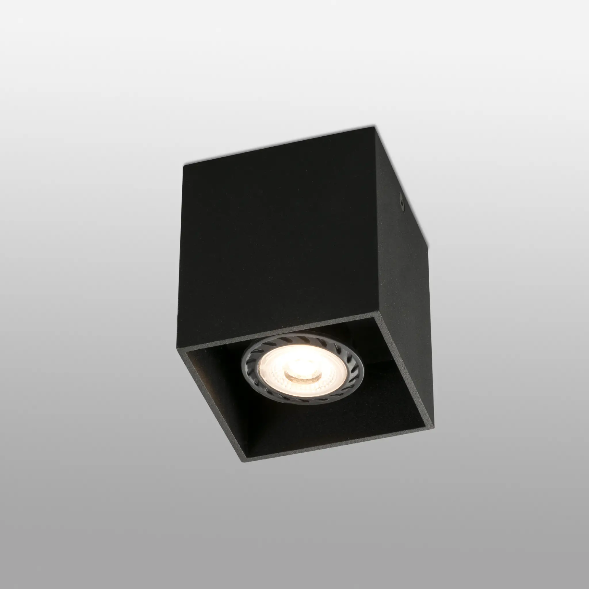 Miniature 6