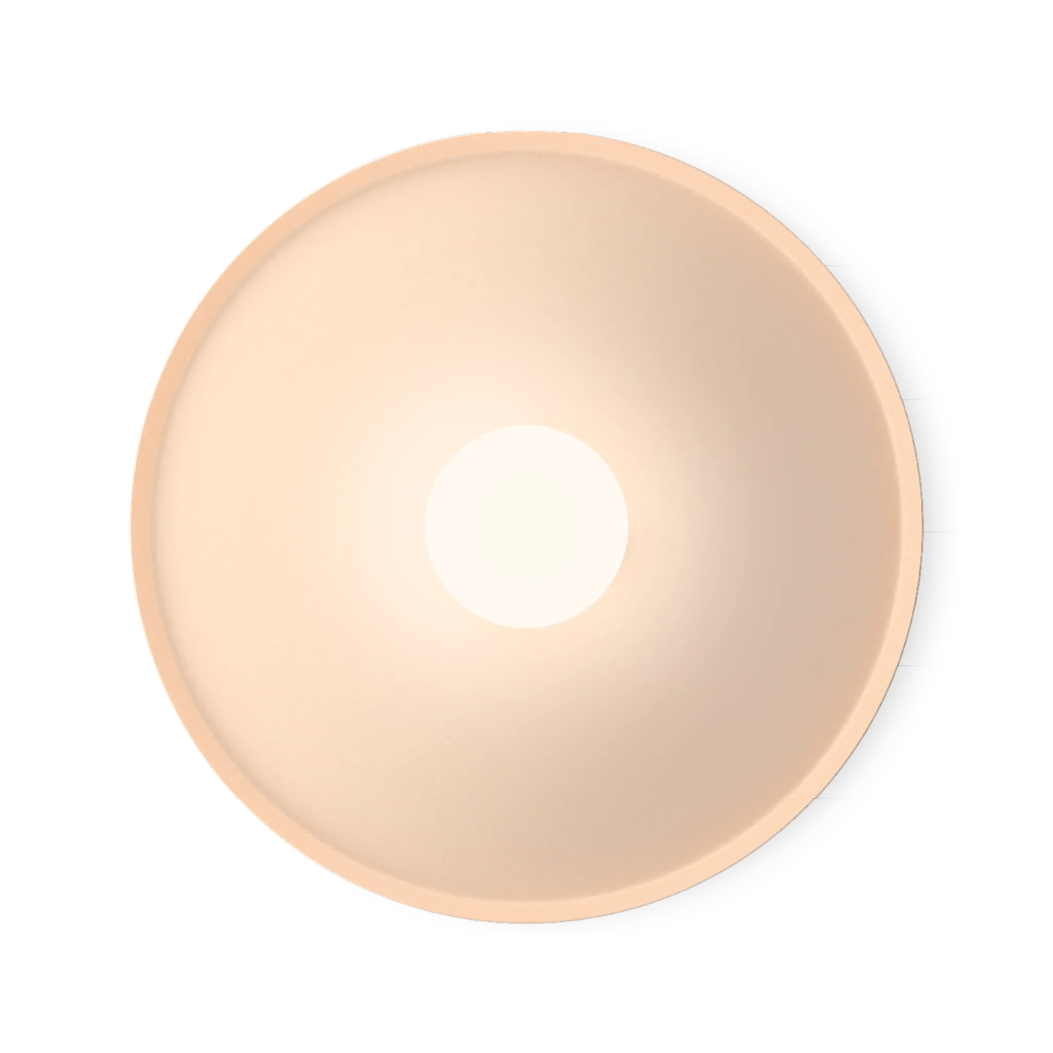 Miniature 5