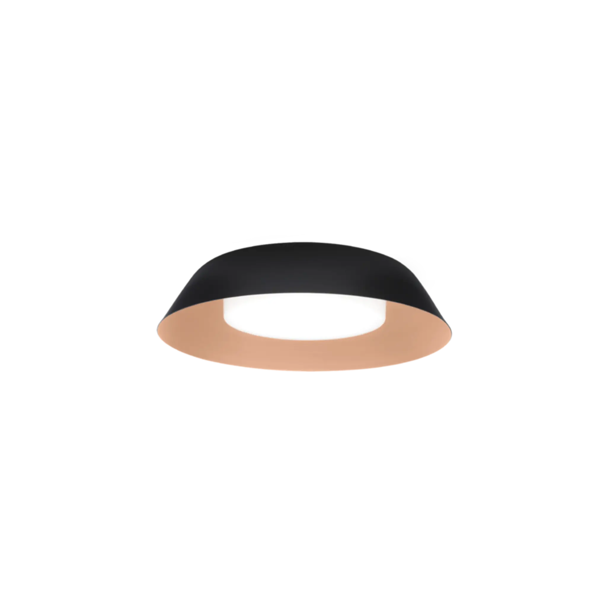 Miniature 6